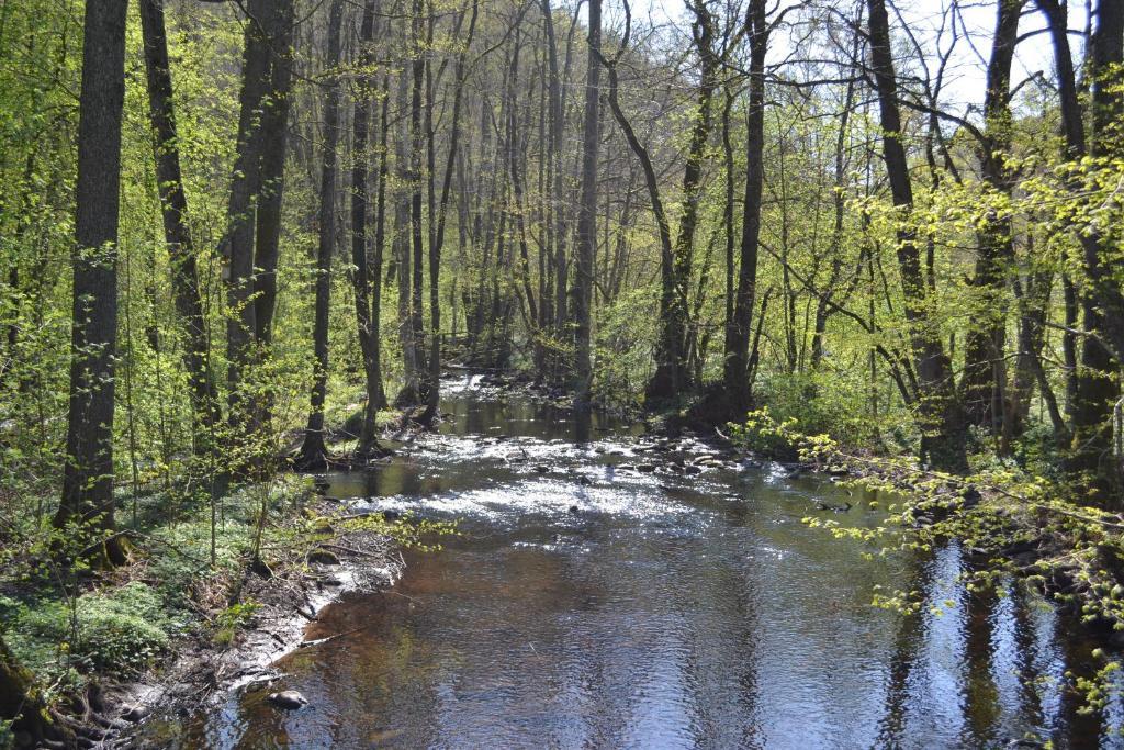Soederasens Skafferi - Logi Hostel Ljungbyhed Bagian luar foto